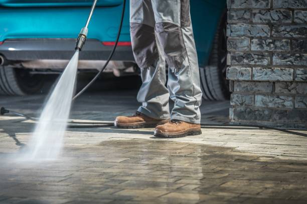 Best Soft Washing  in Burkburnett, TX